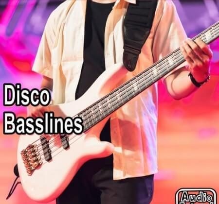 AudioFriend Disco Basslines WAV